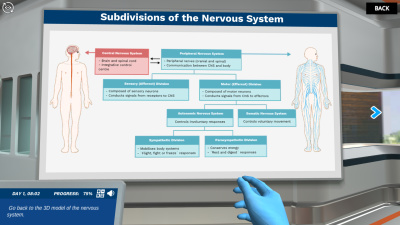 Introduction to the Nervous System: Subdivisions of the nervous system 