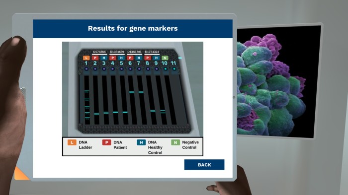 Preview of Cancer: Impact of BRCA mutations Screenshot 4 simulation.