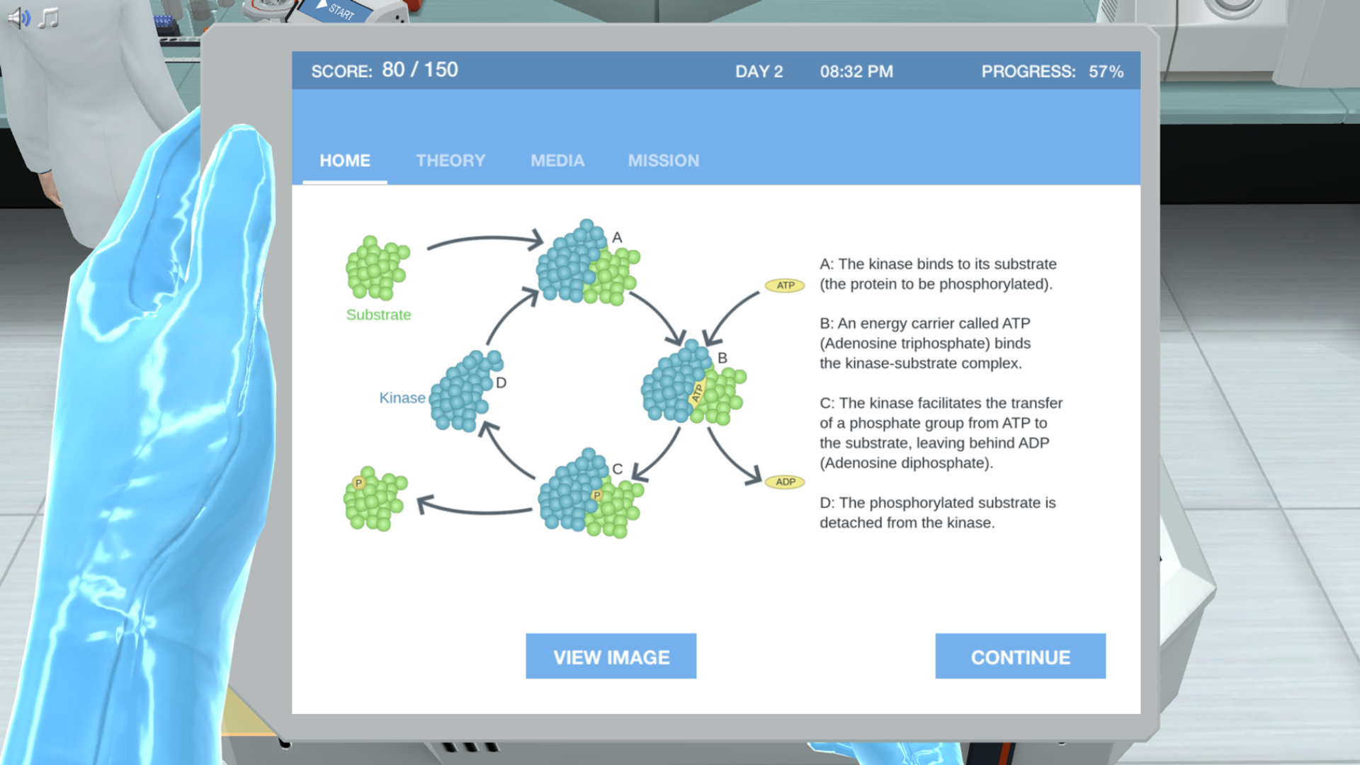 Cancer Sample Preparation for Mass Spectrometry Virtual Lab