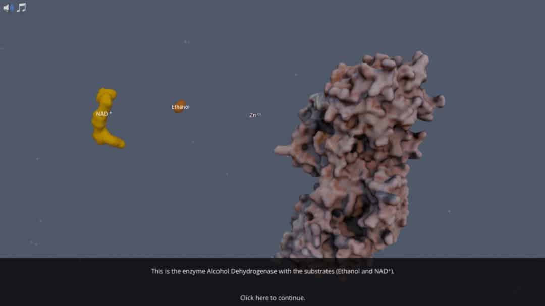 Enzyme Virtual Lab Labster