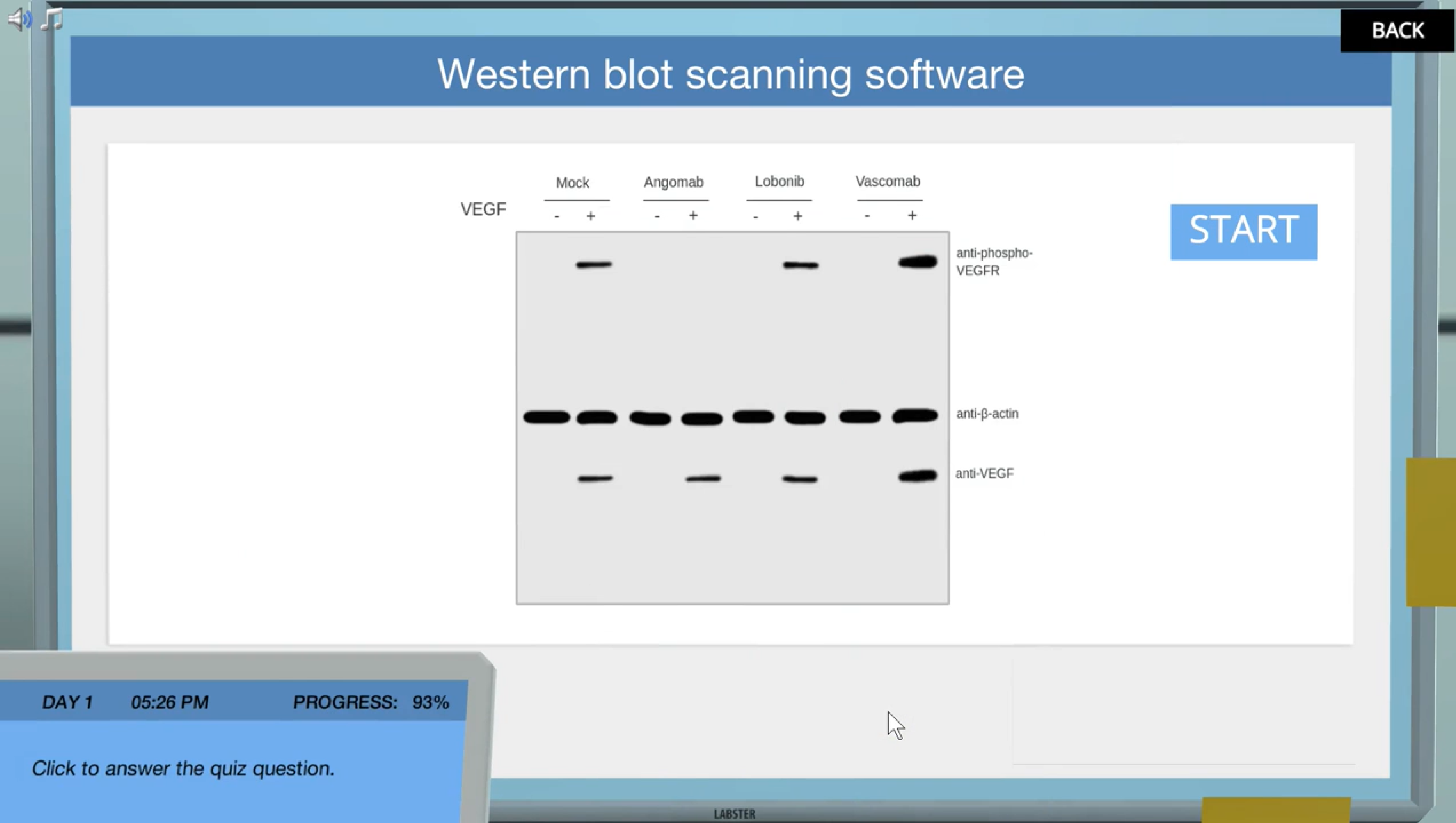 Signal Transduction How cells communicate Virtual Lab