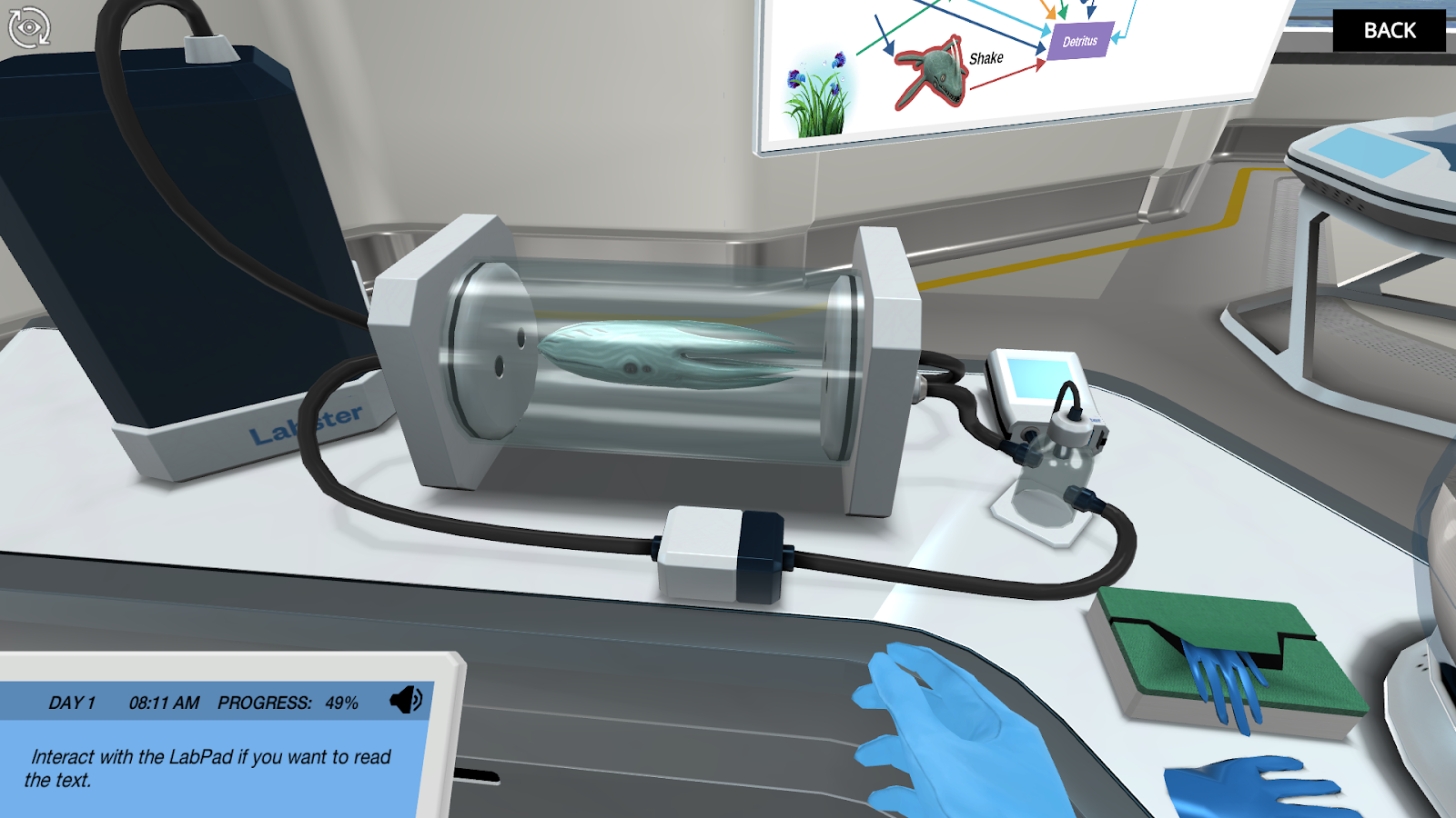 FDW粘贴图像0 (1)