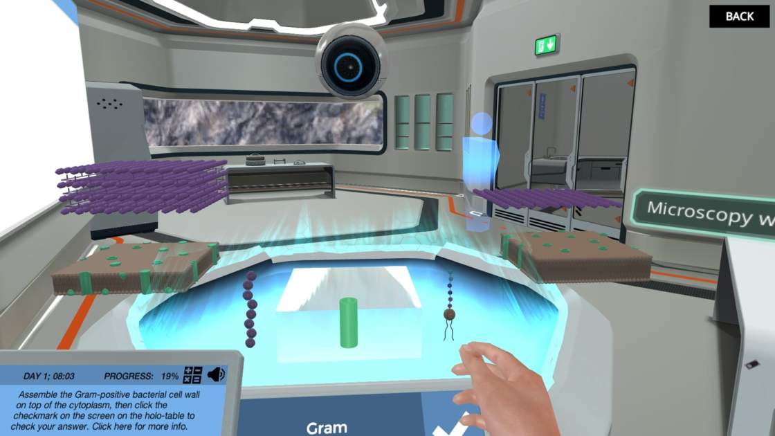 构建革兰氏阳性和革兰氏阴性细胞壁-截图2