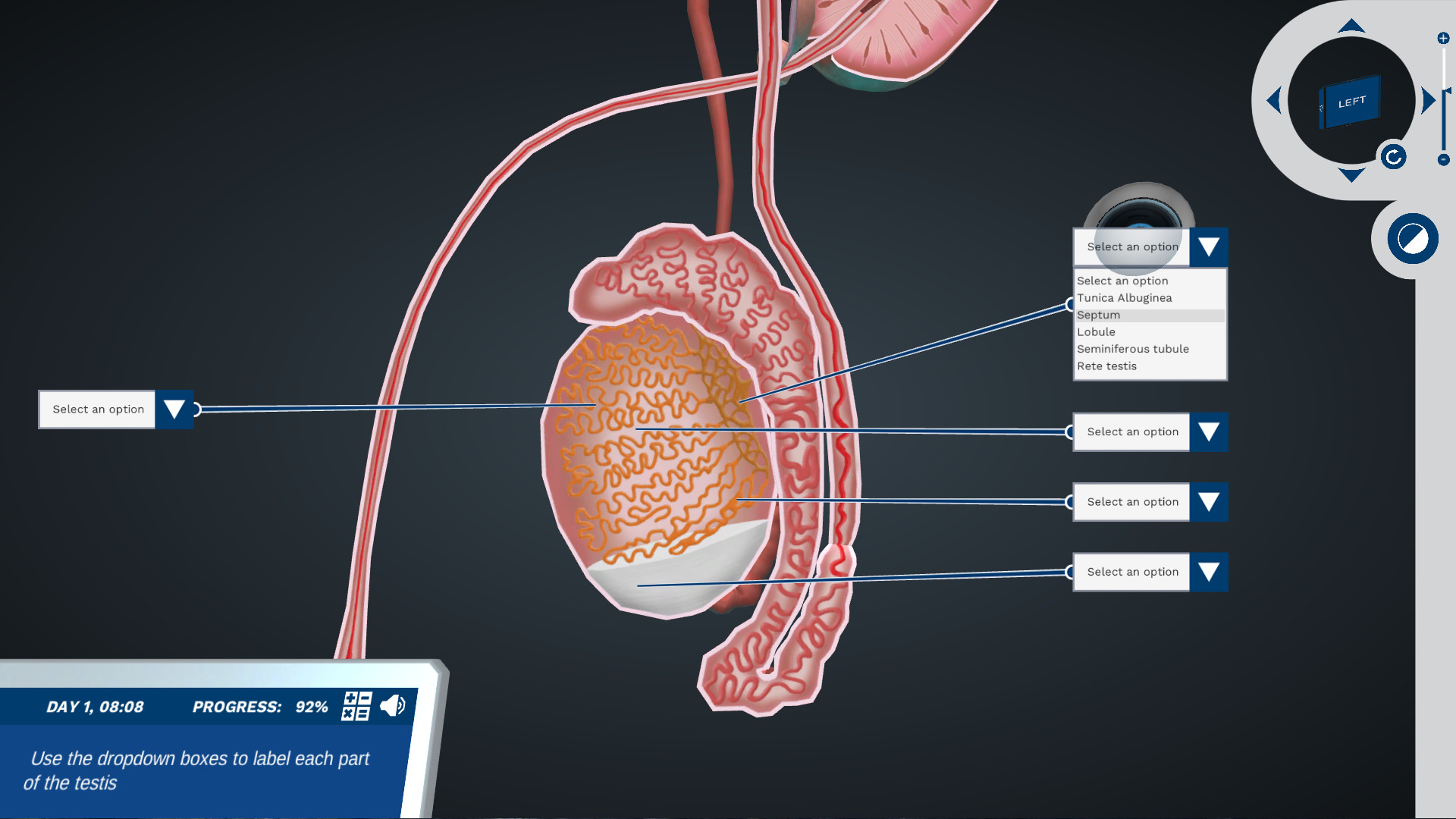 Introduction To The Male Reproductive System Dive Inside The Duct System Labster Virtual Labs 7112