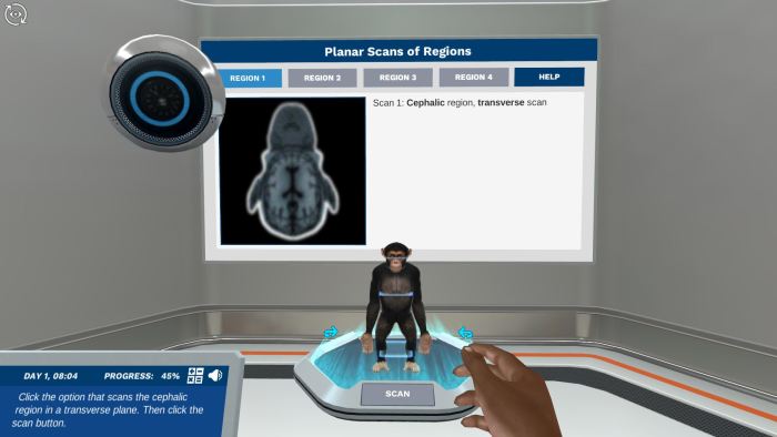 Preview of Regions of the body simulation.