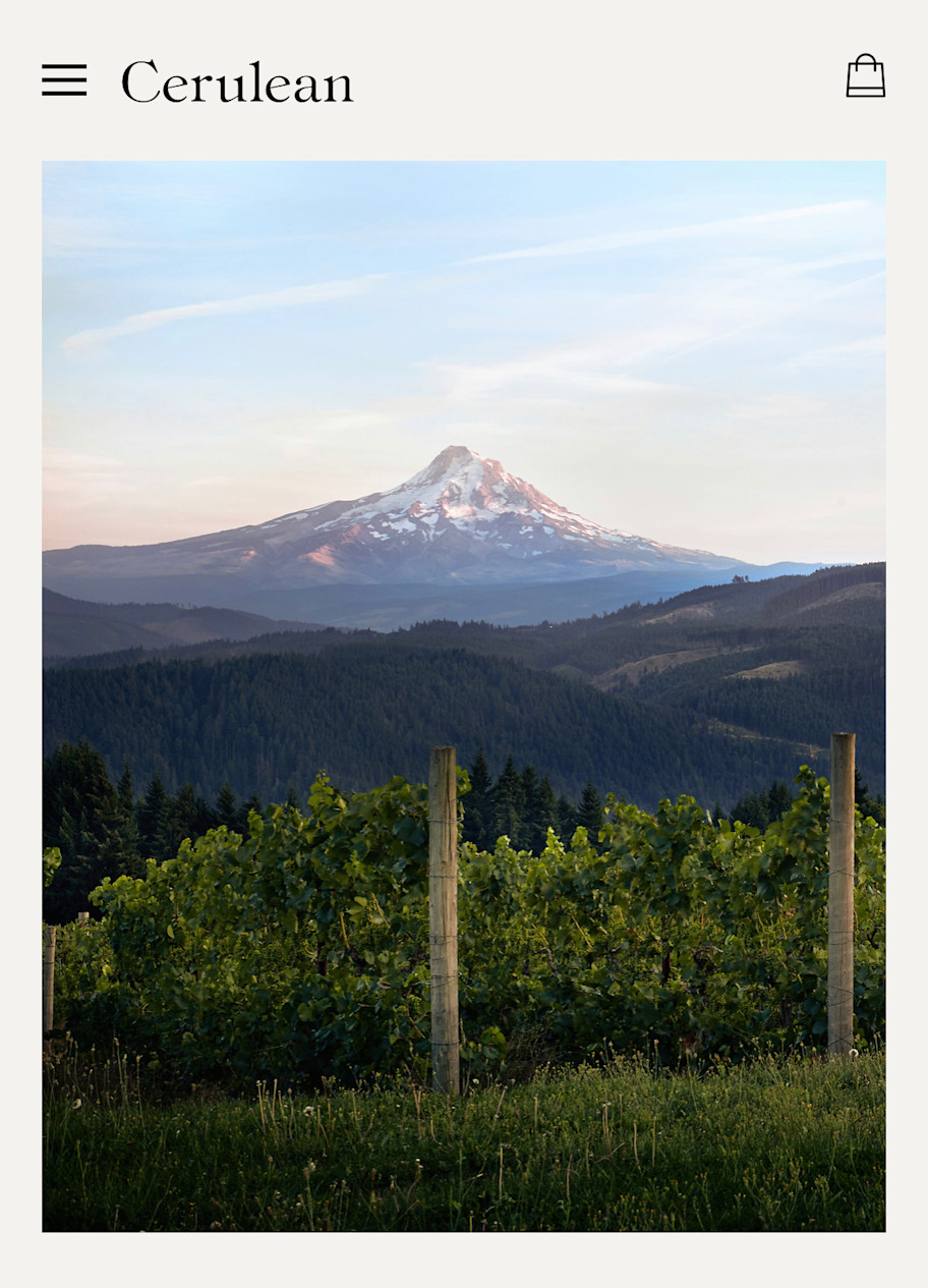 cerulean website screenshot