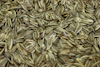 A pile of dried sunflower seeds