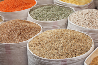 multiple sacks of grains all open top with the grains showing