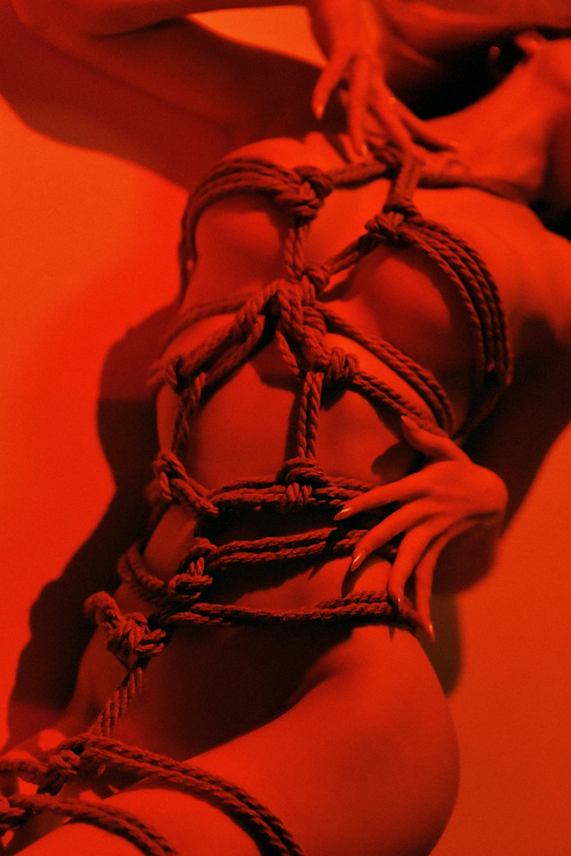 Upside down shibari suspension with Enn Shtyka - gallery image 2