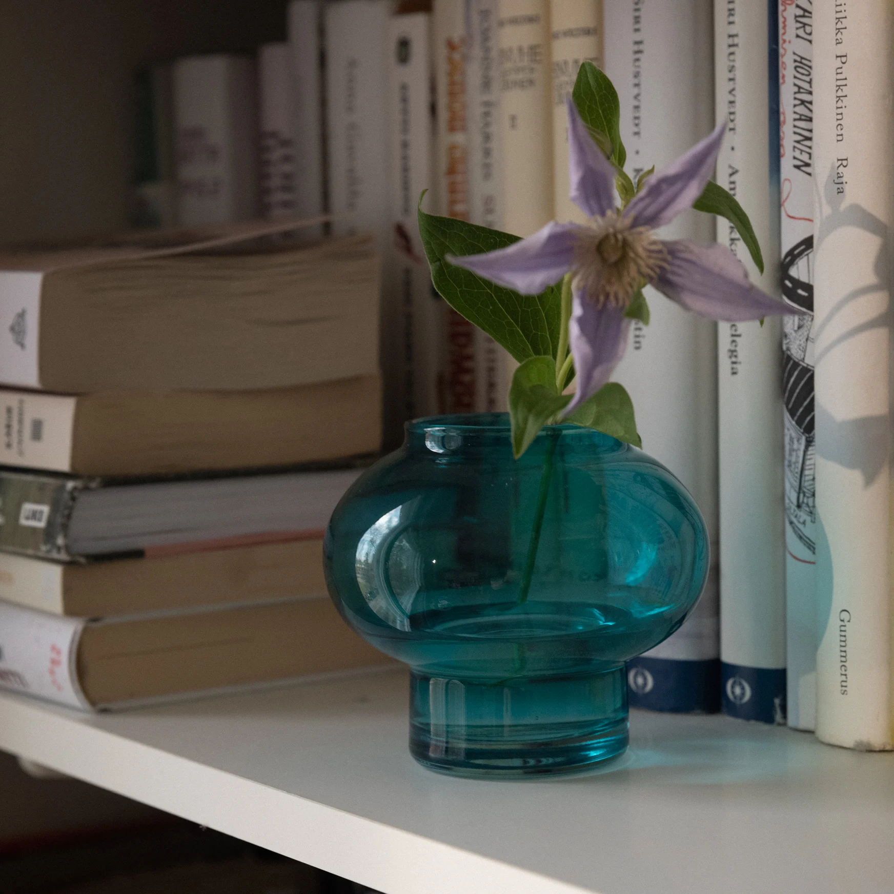 Kuvassa Tyyni lasimaljakko kirjahyllyssä, jossa on kukka. 