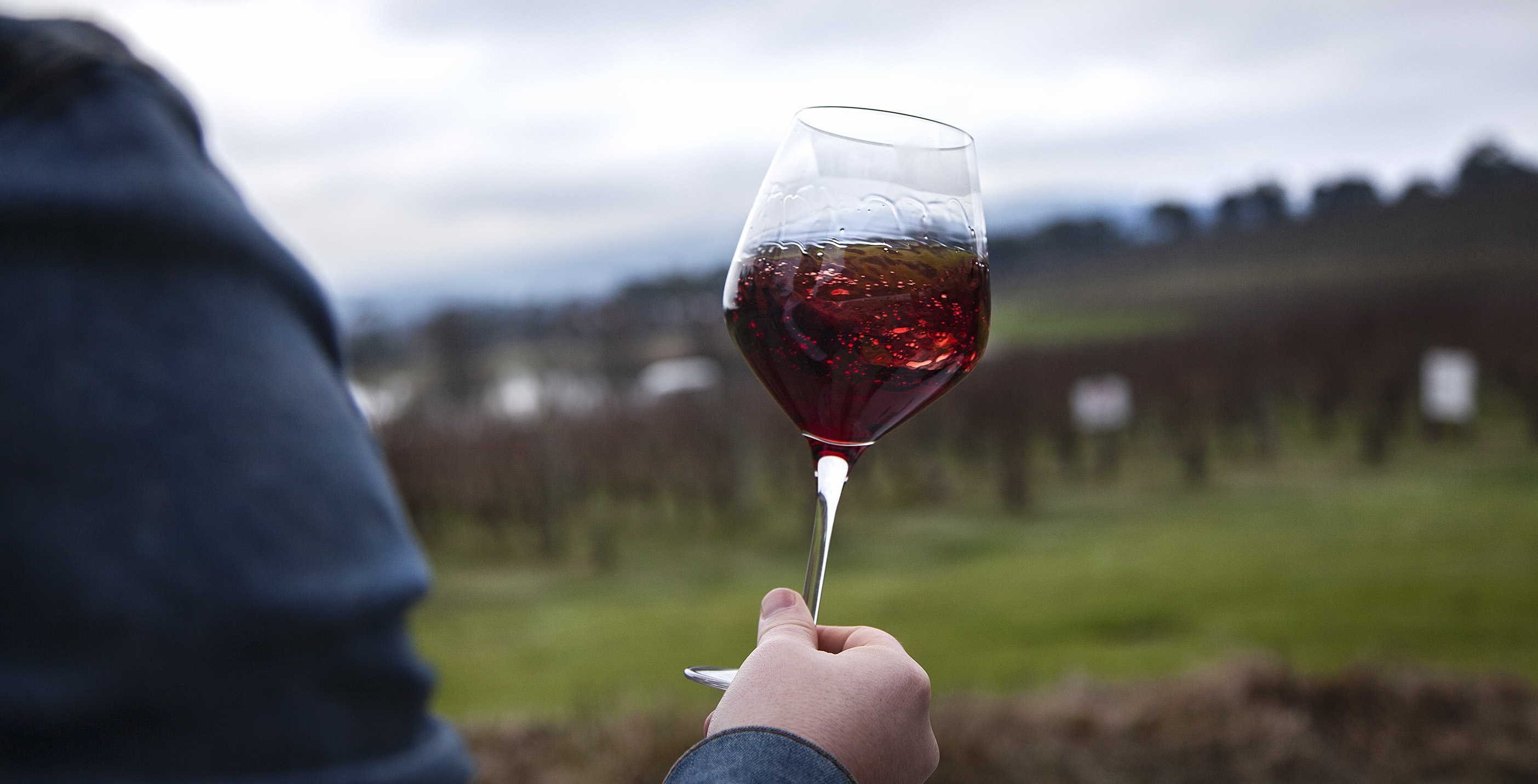 Best Value Pinot Gris Vinomofo