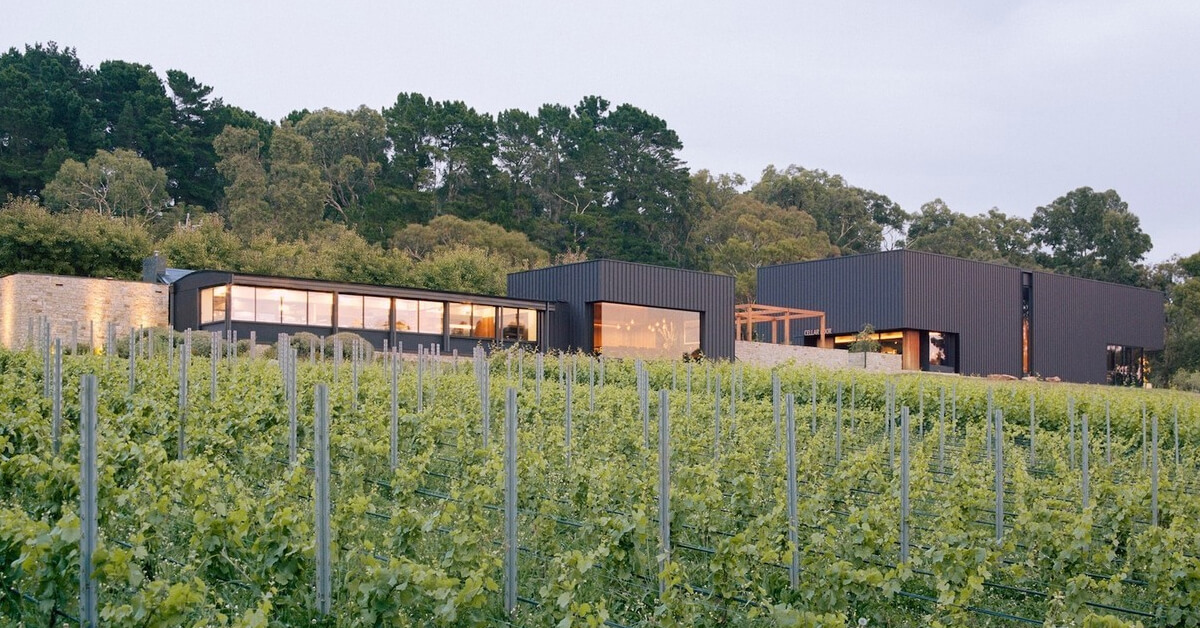 Top cellar doors to visit in Mornington Peninsula Vinofiles