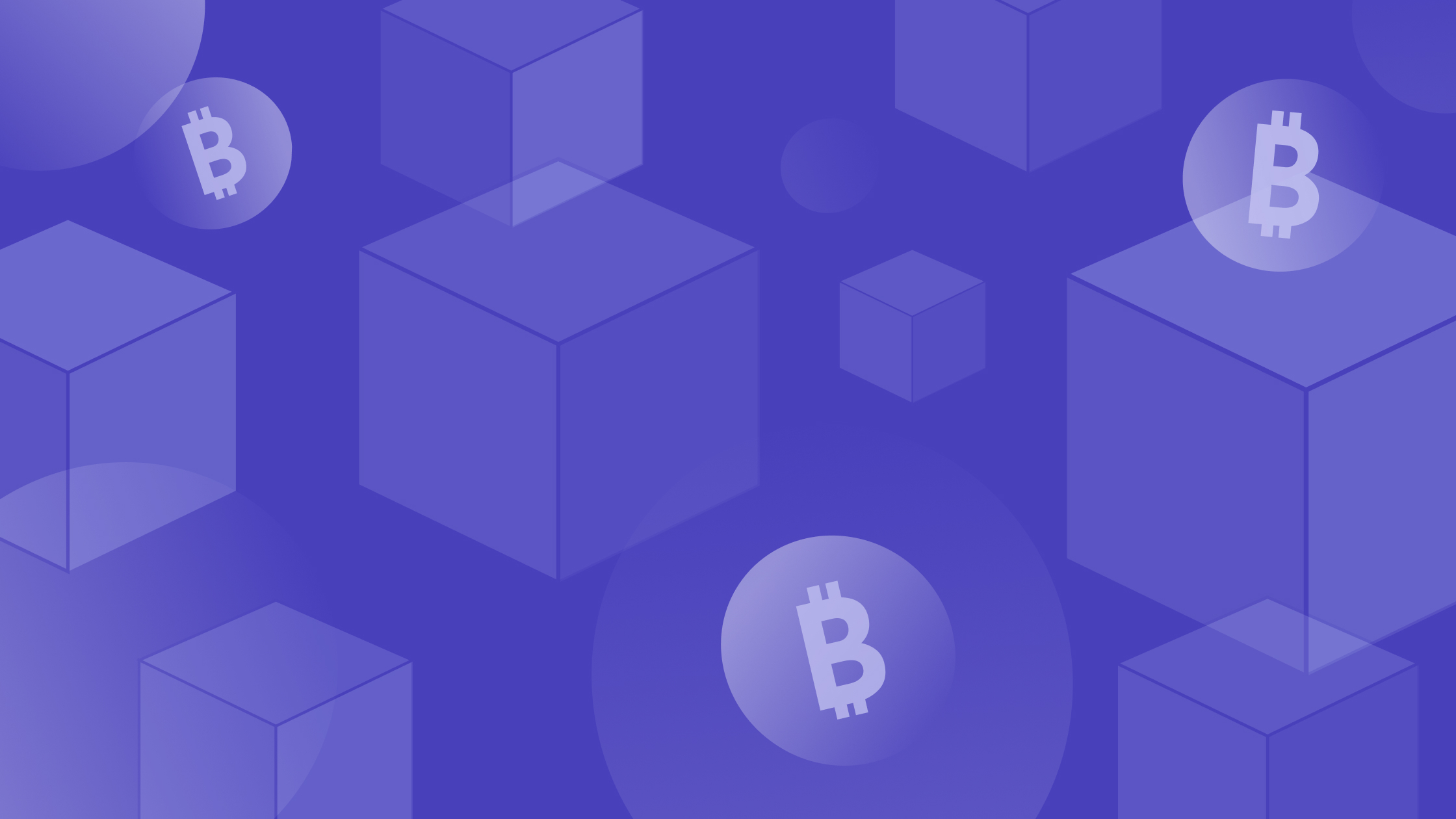 Reputational Due Diligence in U.S. Cryptocurrency Investments