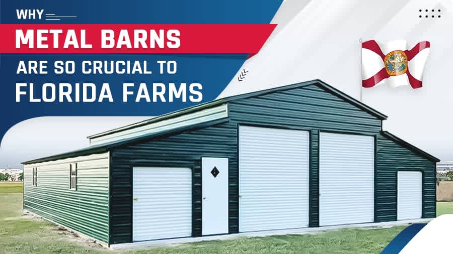 thumbnail for Why Metal Barns Are So Crucial to Florida Farms 