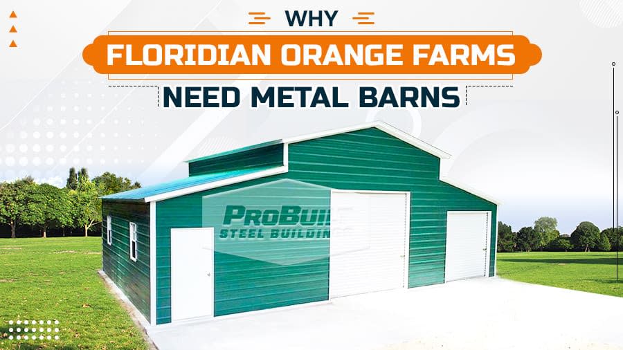thumbnail for Why Floridian Orange Farms Need Metal Barns