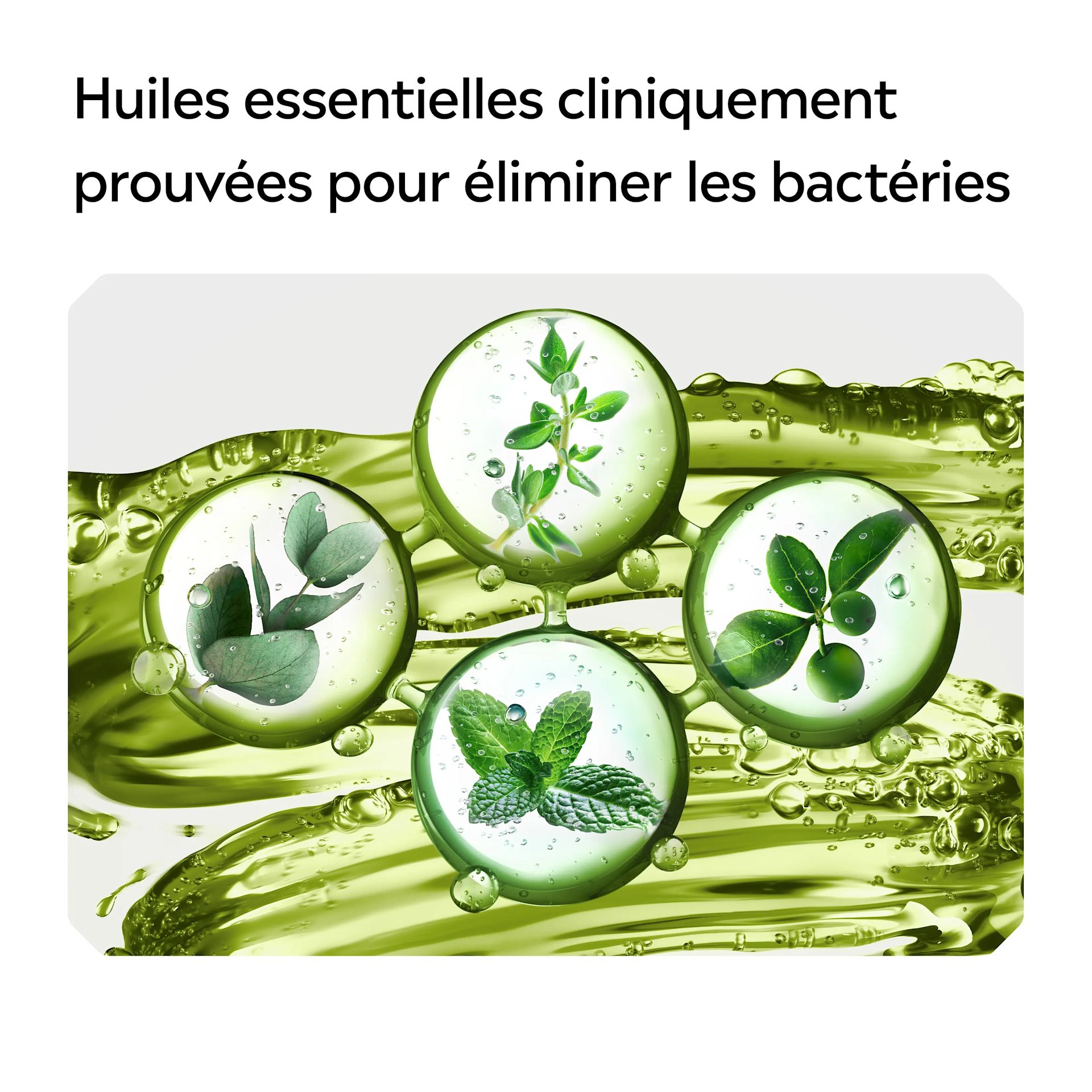 LIS EMEA FR 3574661811338 LIST MW GREEN TEA 500 