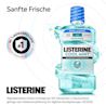 LISTERINE® COOL MINT Milde Minze ohne Alkohol mit Hinweis auf sanfte Frische und Nr. 1‑Empfehlung durch Zahnärzt:innen.