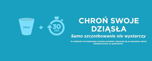 3_1_pl