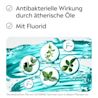 Darstellung ätherischer Öle und Fluorid als Wirkprinzipien bei LISTERINE®, mit Hinweis auf antibakterielle Wirkung.
