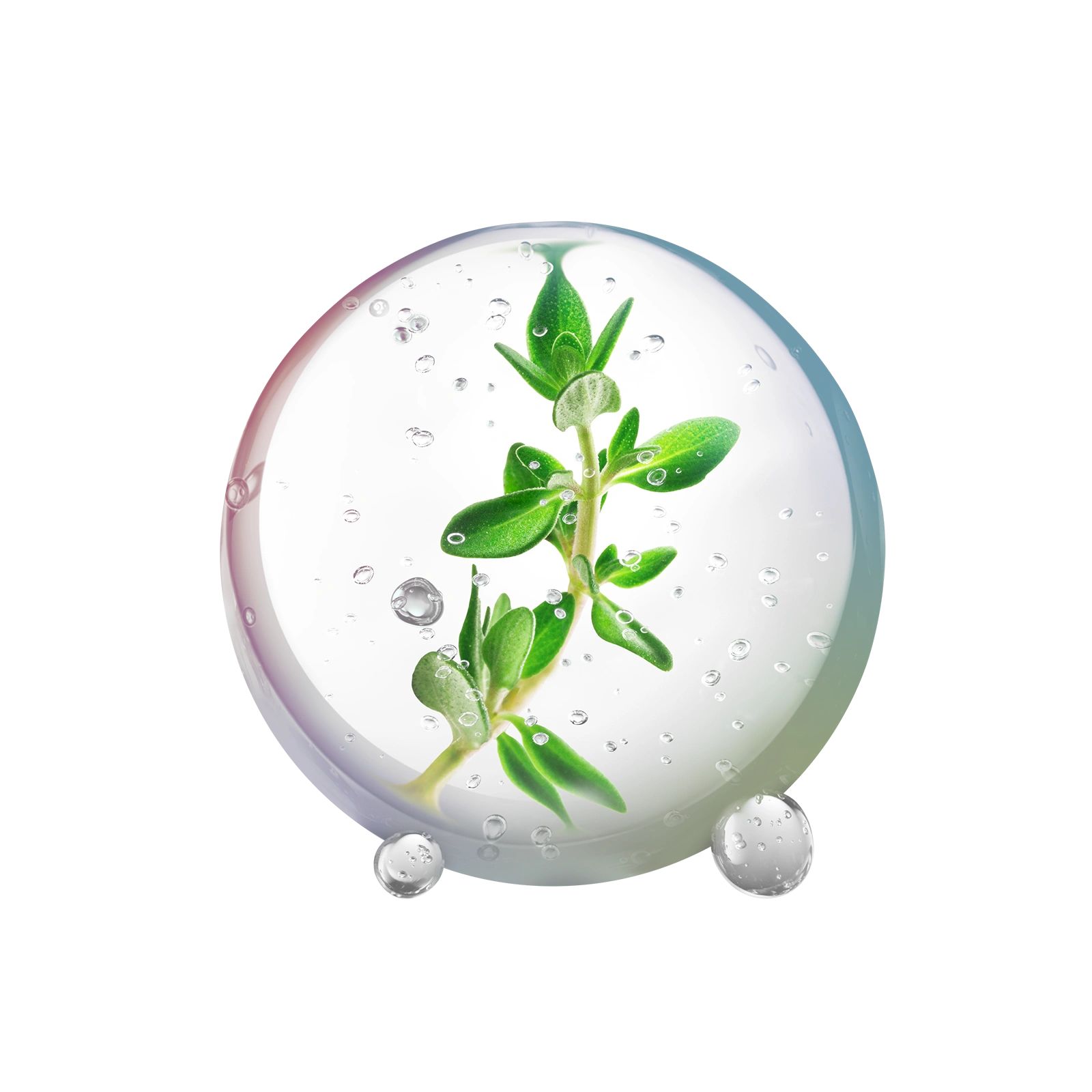 Menthyl salicylate icon