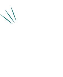 toothicon.png