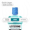 LIS EMEA FR 3574661811321 3574661919386 MW COOLMNT MILD 
