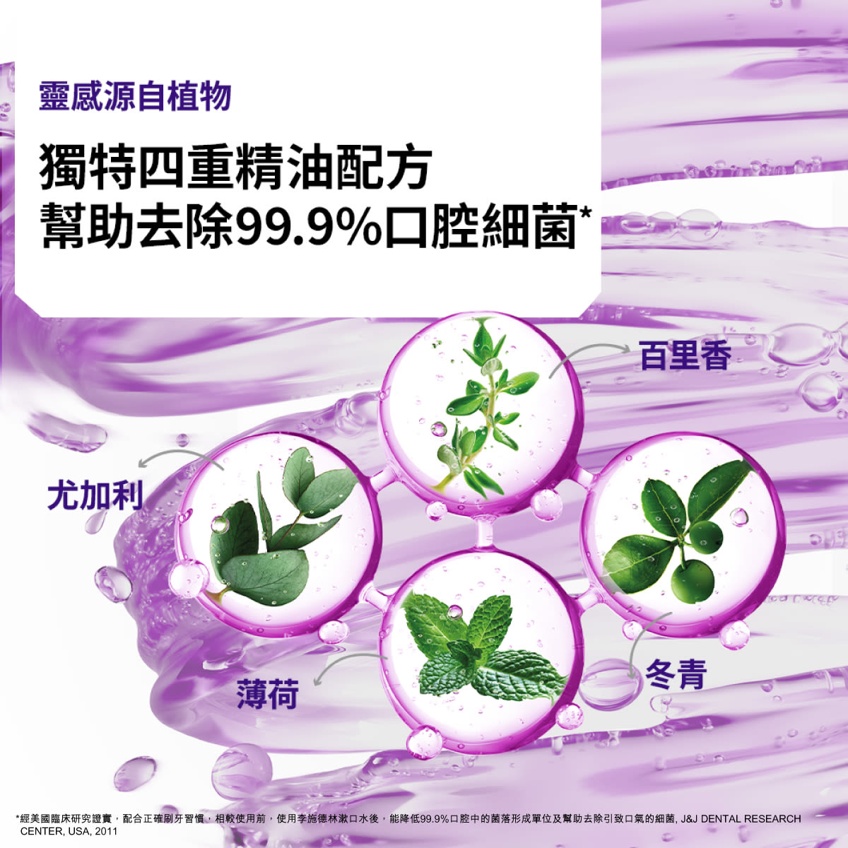 LIS TCZ Sachet ecom 4