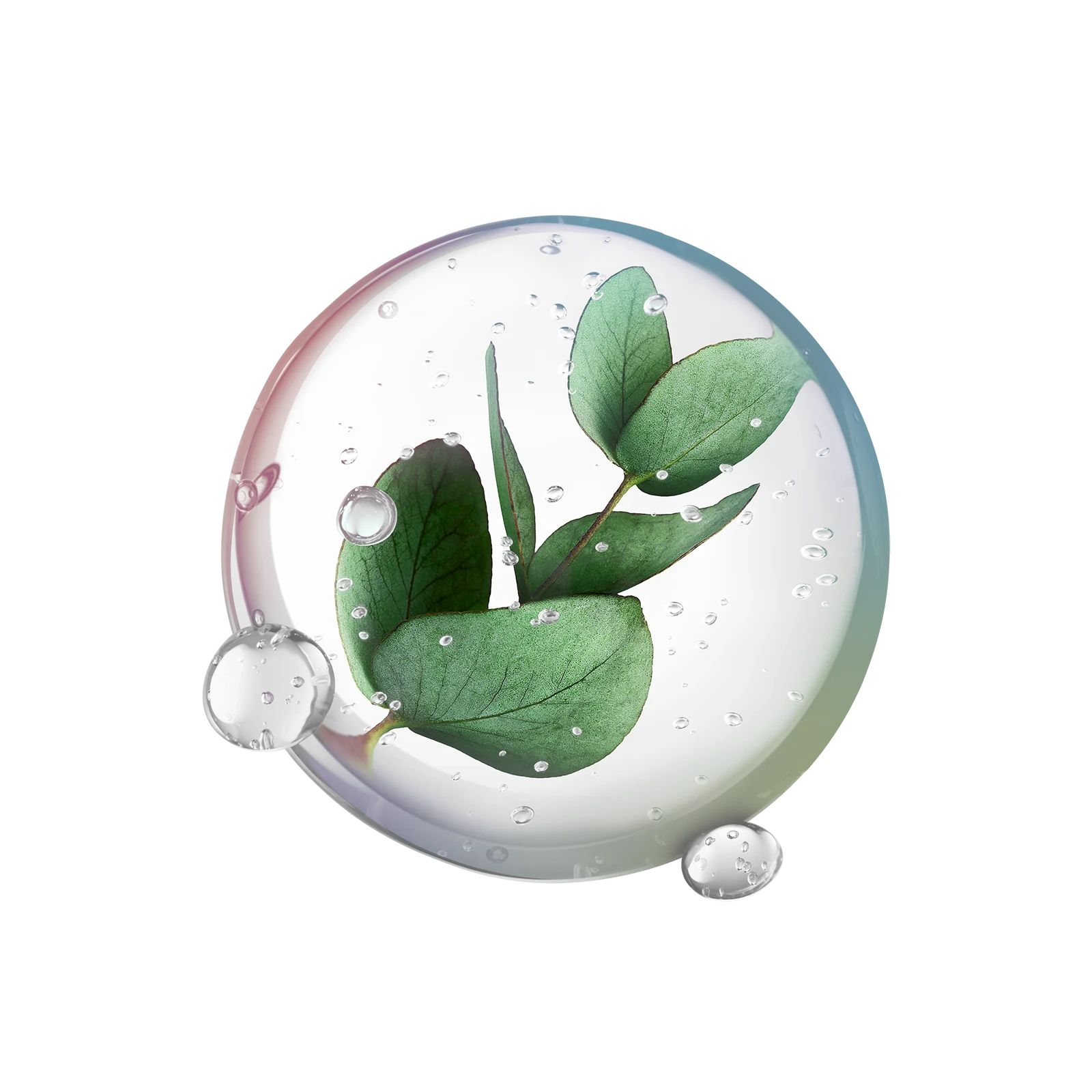 Eucalyptol icon