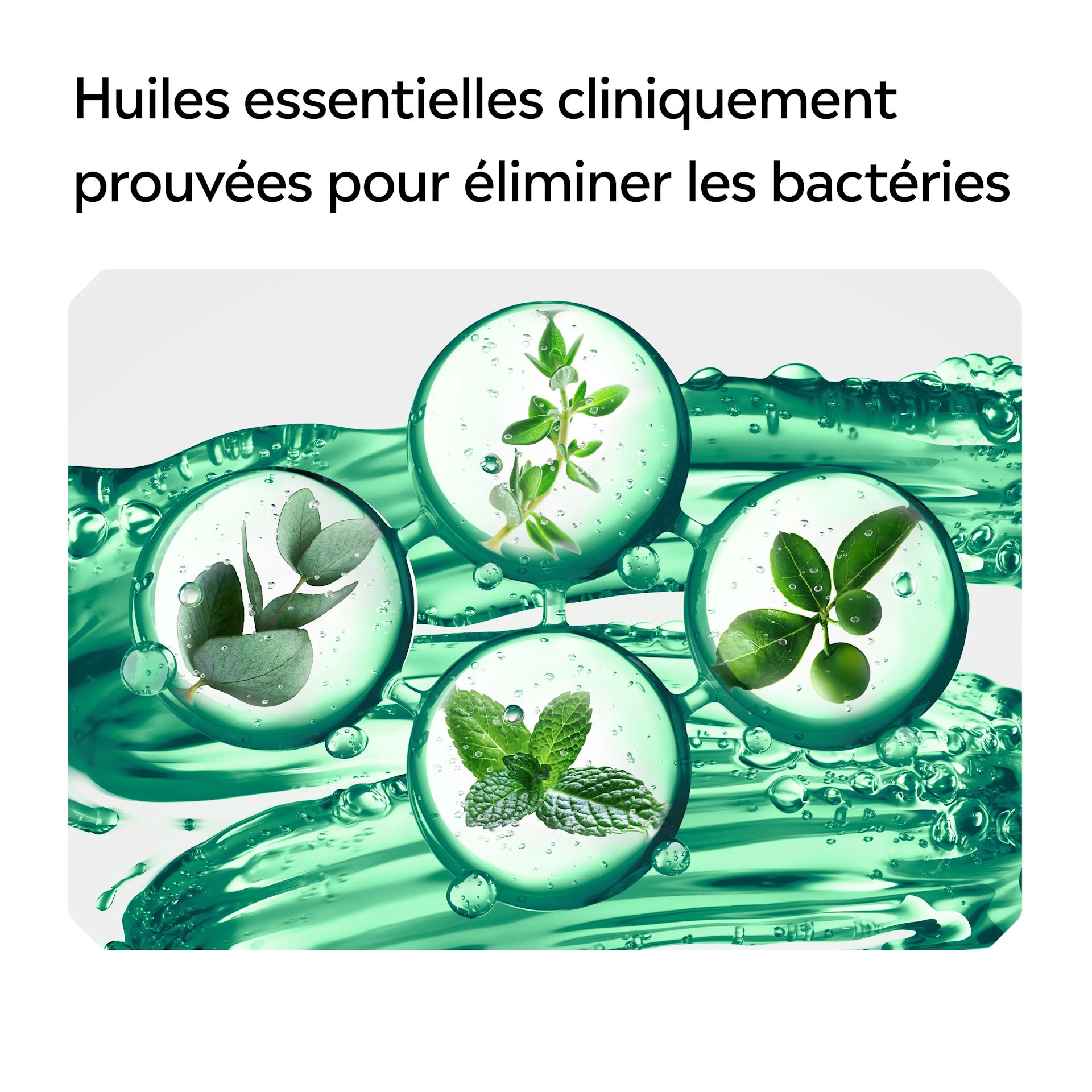 LIS EMEA FR 3574661811413 MENTHE FRAICHE 500ML