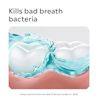 CA LIS 062600492517 CoolMint Sachets ATF EN 6 JPG