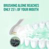 LISTERINE® ALOE & CUCUMBER - Image 8 - Listerine - en-SG