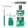 LIS EMEA FR 3574661811413 MENTHE FRAICHE 500ML
