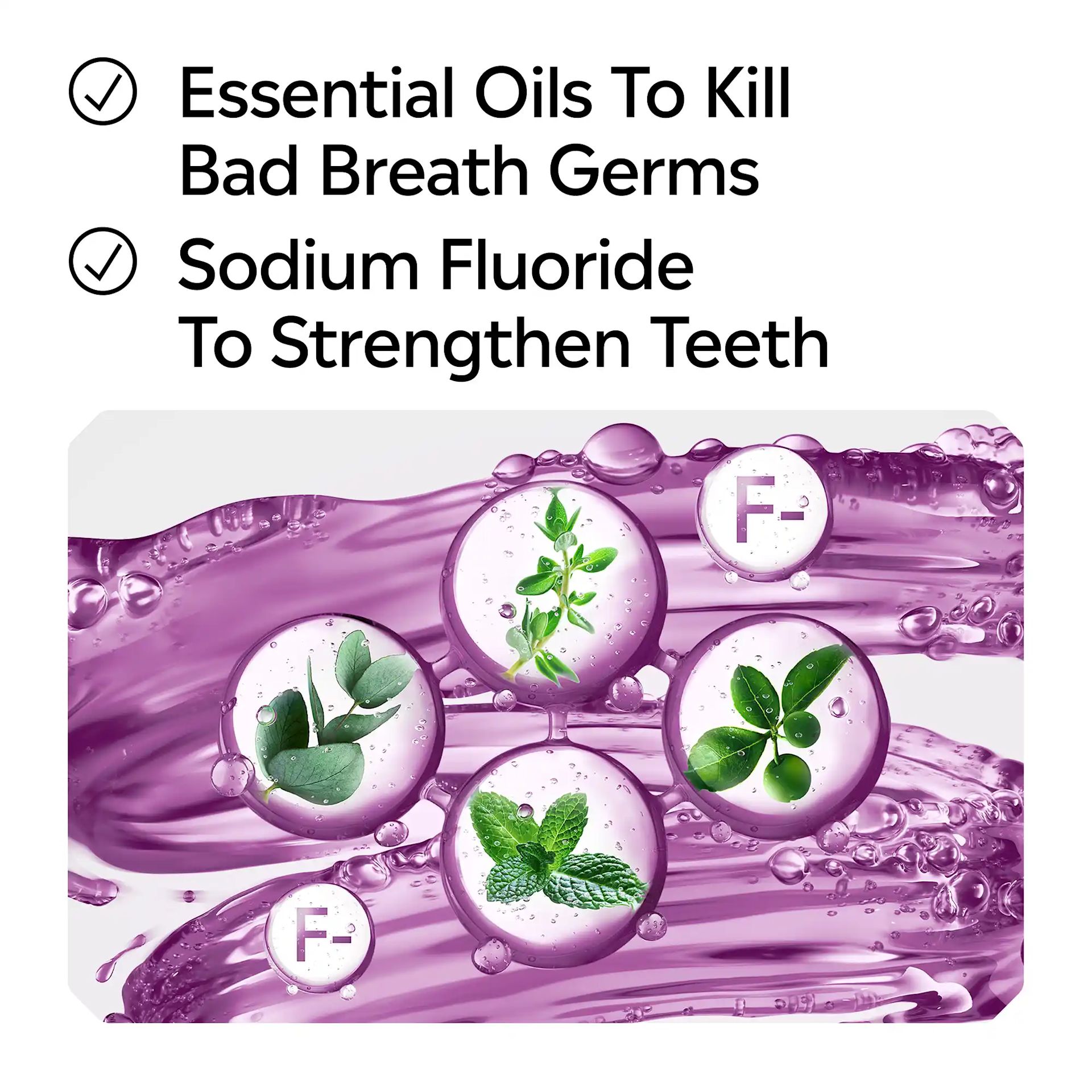LIS B+ Ingredients TC Intense RGB 10 Essential oils to kill bad breath germs, sodium fluoride to strengthen teeth