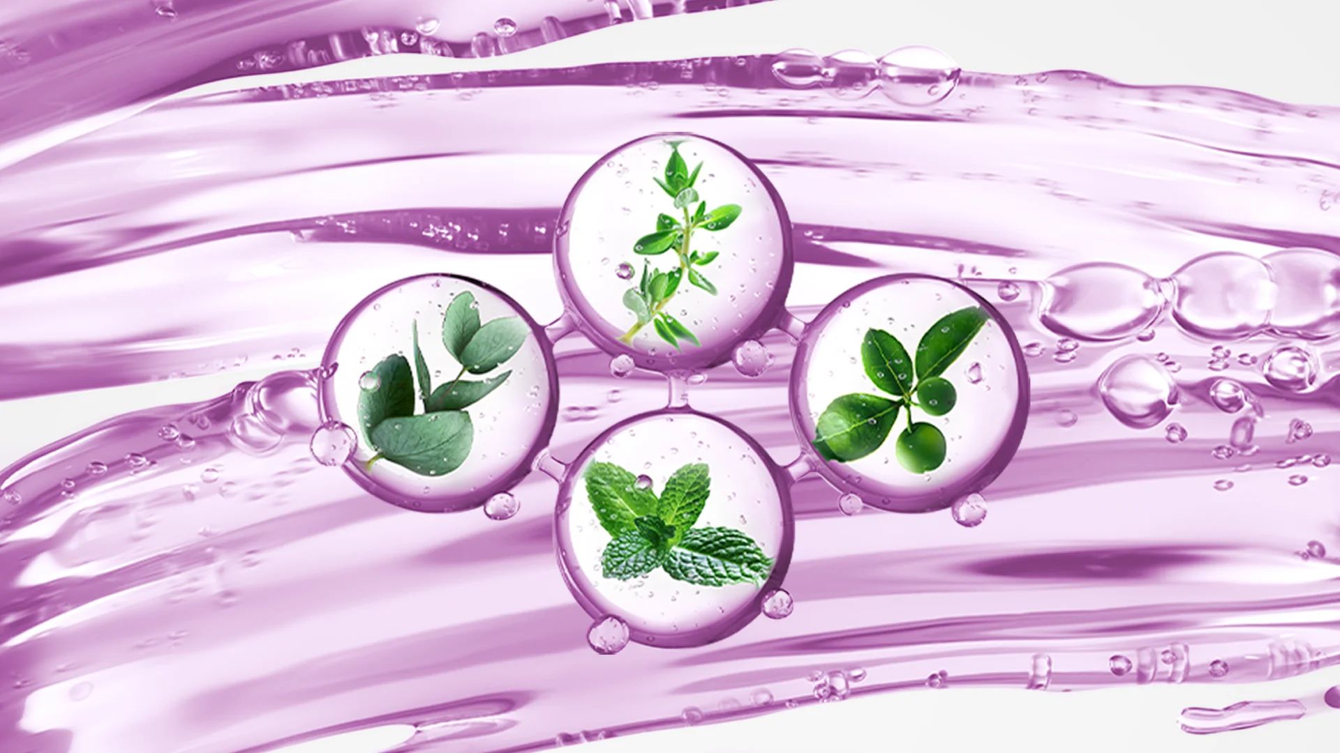 It All Starts With Our Ingredients