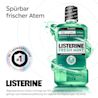 LISTERINE® FRESH MINT Intensive Grüne Minze (Classic) Mundspülung mit Alkohol mit Hinweis auf spürbar frischeren Atem und Nr. 1‑Auszeichnung in der Zahnarztempfehlung.