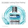 LISTERINE® ULTRACLEAN® 3x longer lasting clean feeling