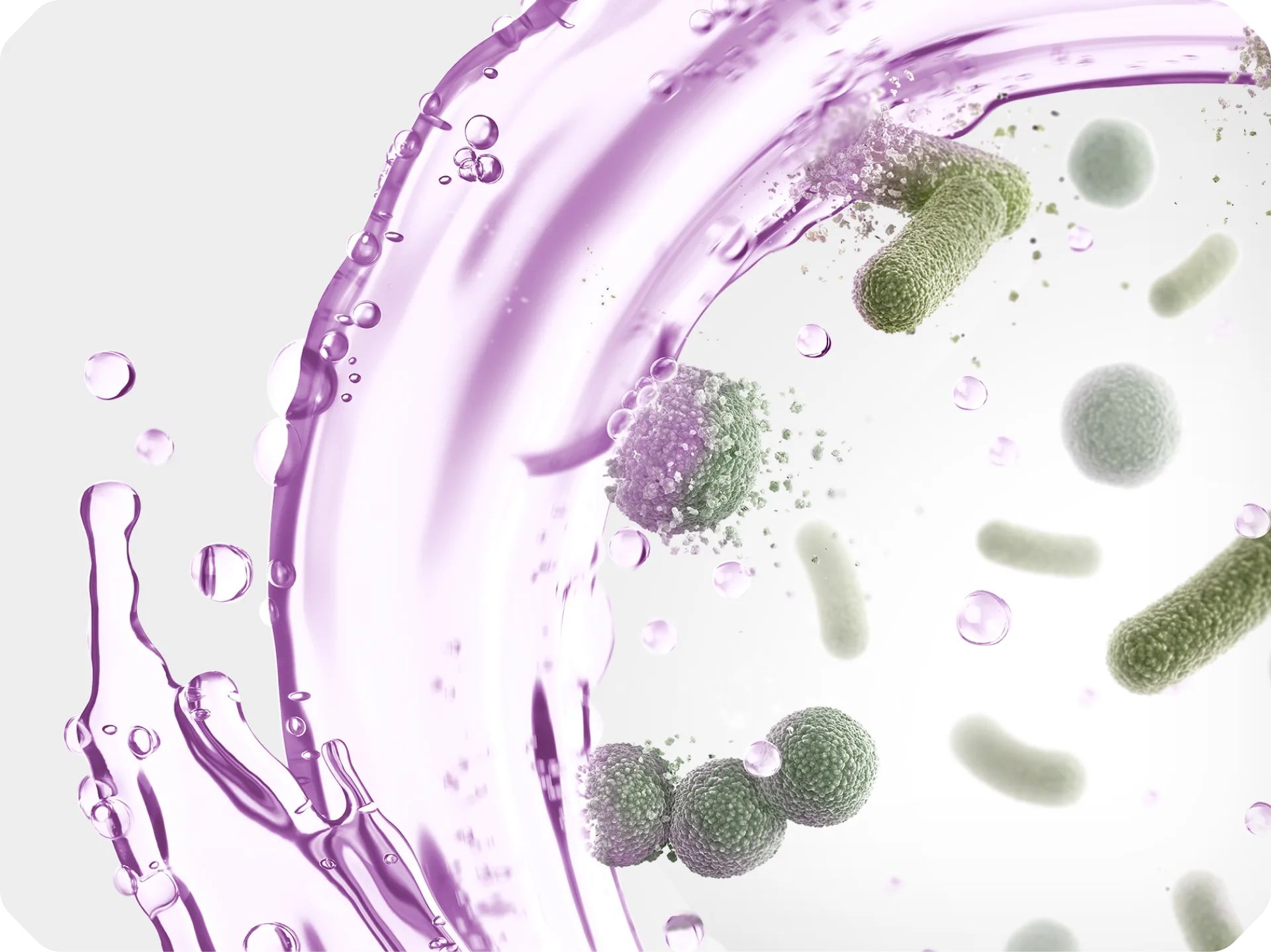 The four essential oils in Listerine products