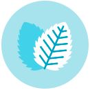 百里香精油