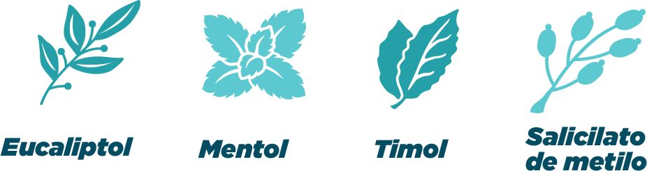 img_componentes-aceites_esenciales.png