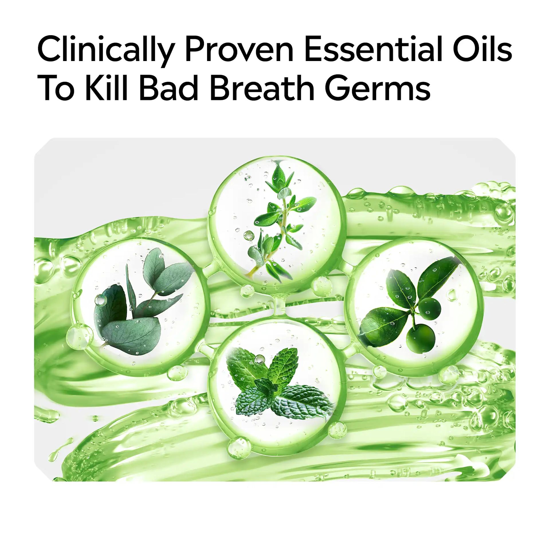 LIS B+ Ingredients Citrus Mint RGB 08 Clinically Proven Essential Oils to Kill Bad Breath Germs