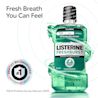 LISTERINE® FRESHBURST® Intense Spearmint, fresh breath you can feel