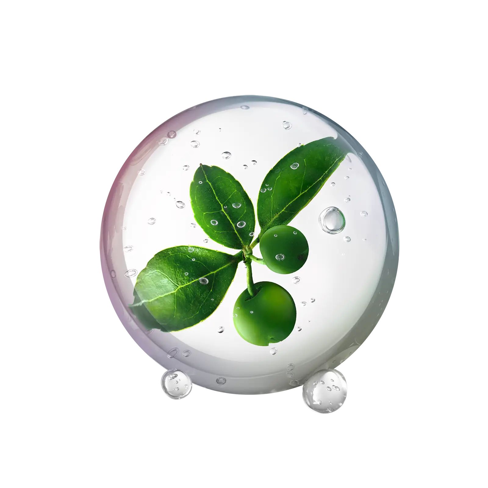 Menthyl salicylate icon