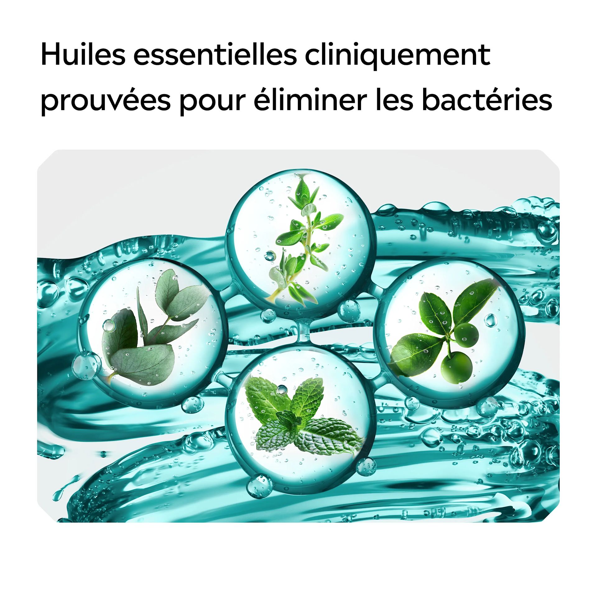 LIS EMEA FR 3574661811314 3574661810867 MTHWSH COOLMNT 