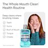 The whole mouth clean health routine. Based on bad breath germs