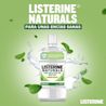 Enjuague Bucal LISTERINE® Naturals Protección De Encías Sabor Suave - Image 2 - Listerine - es-ES