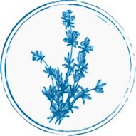 THYMOL