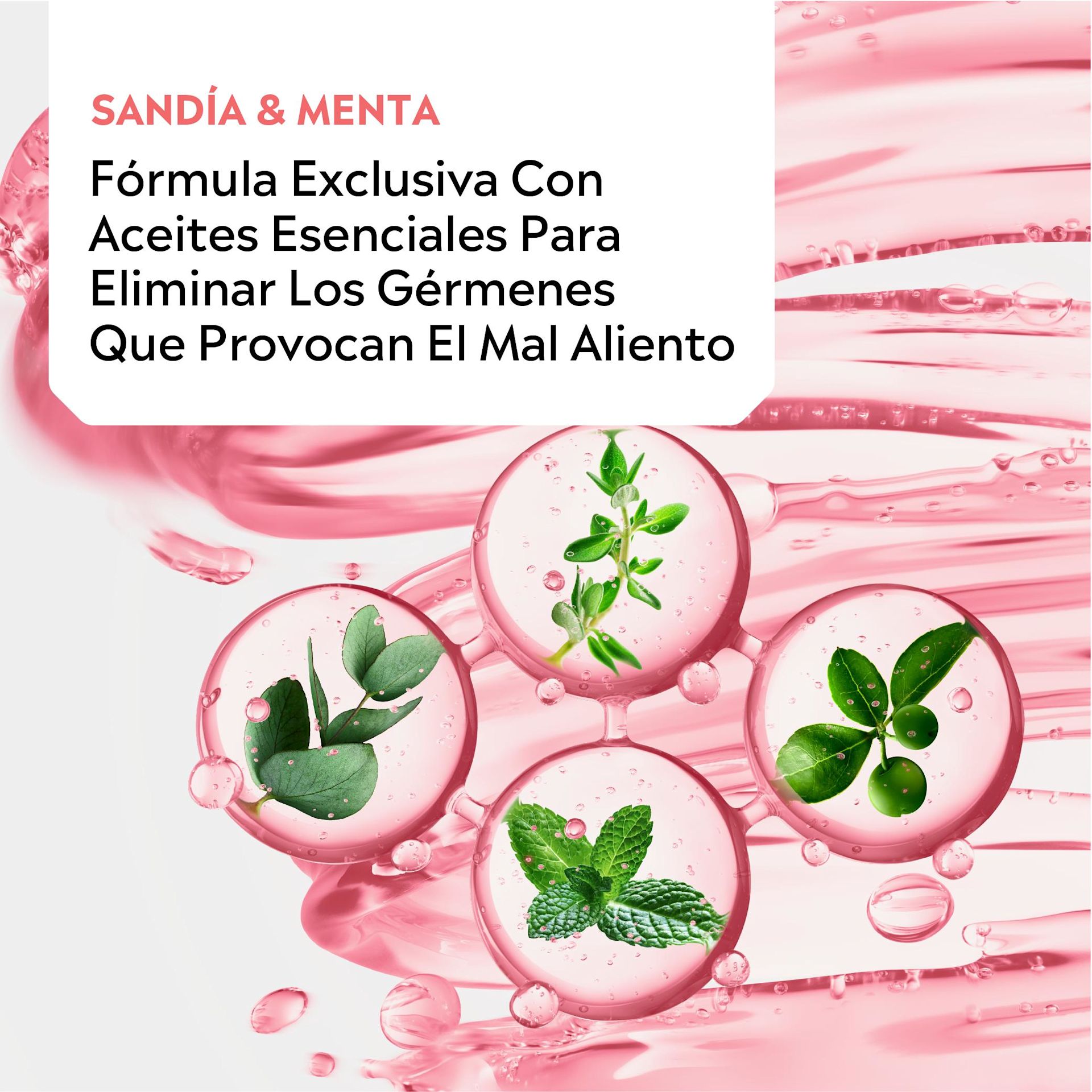 LATAM Q2 KVEnhancedSandia 445603 EH Listerine CO Essential Oils PNG