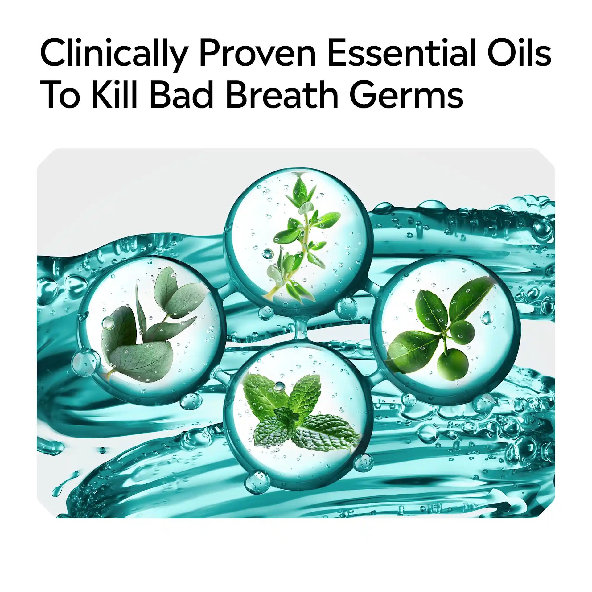 Clinically proven essential oils to kill bad breath germs