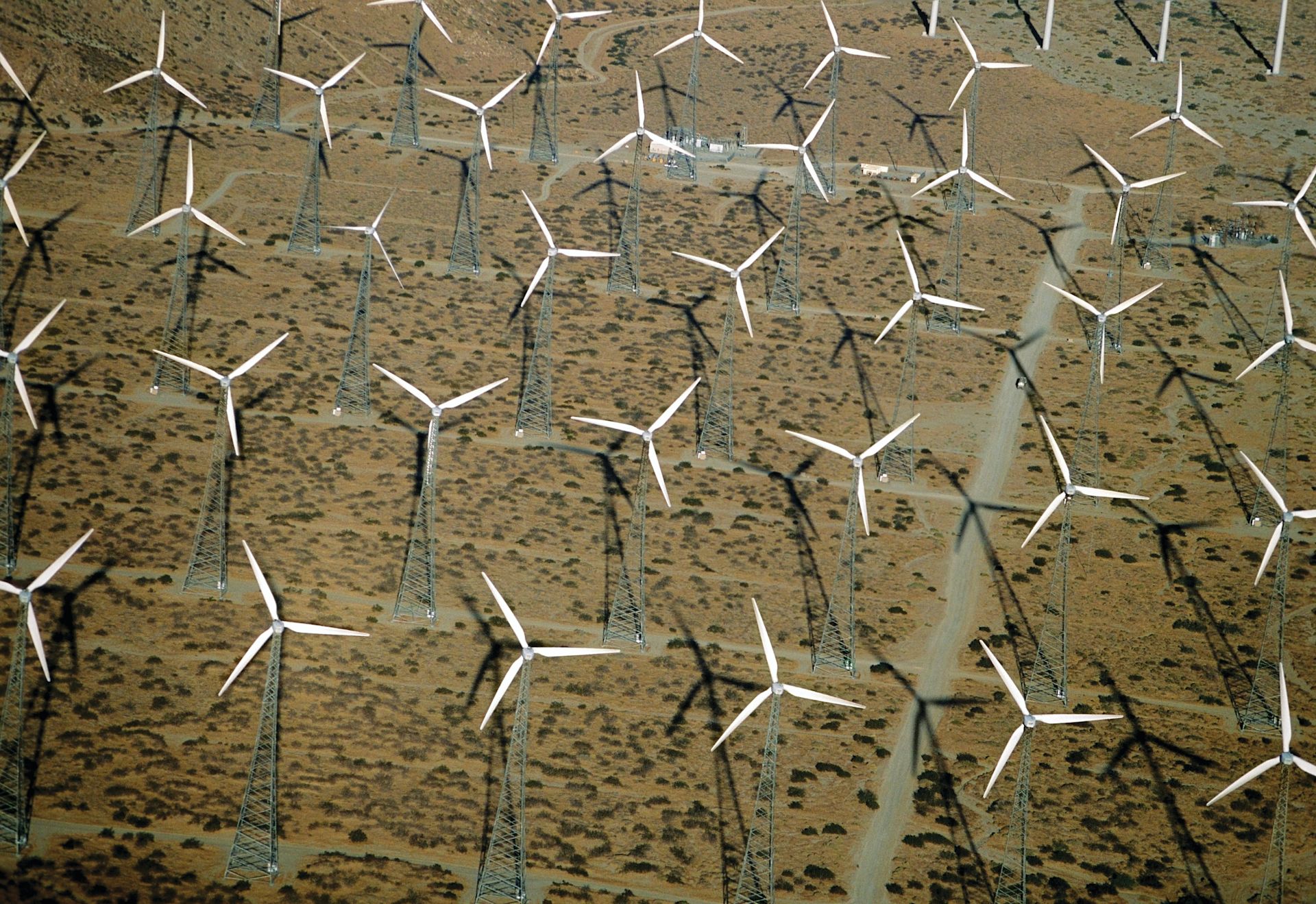 Windmühlen auf einem Feld
