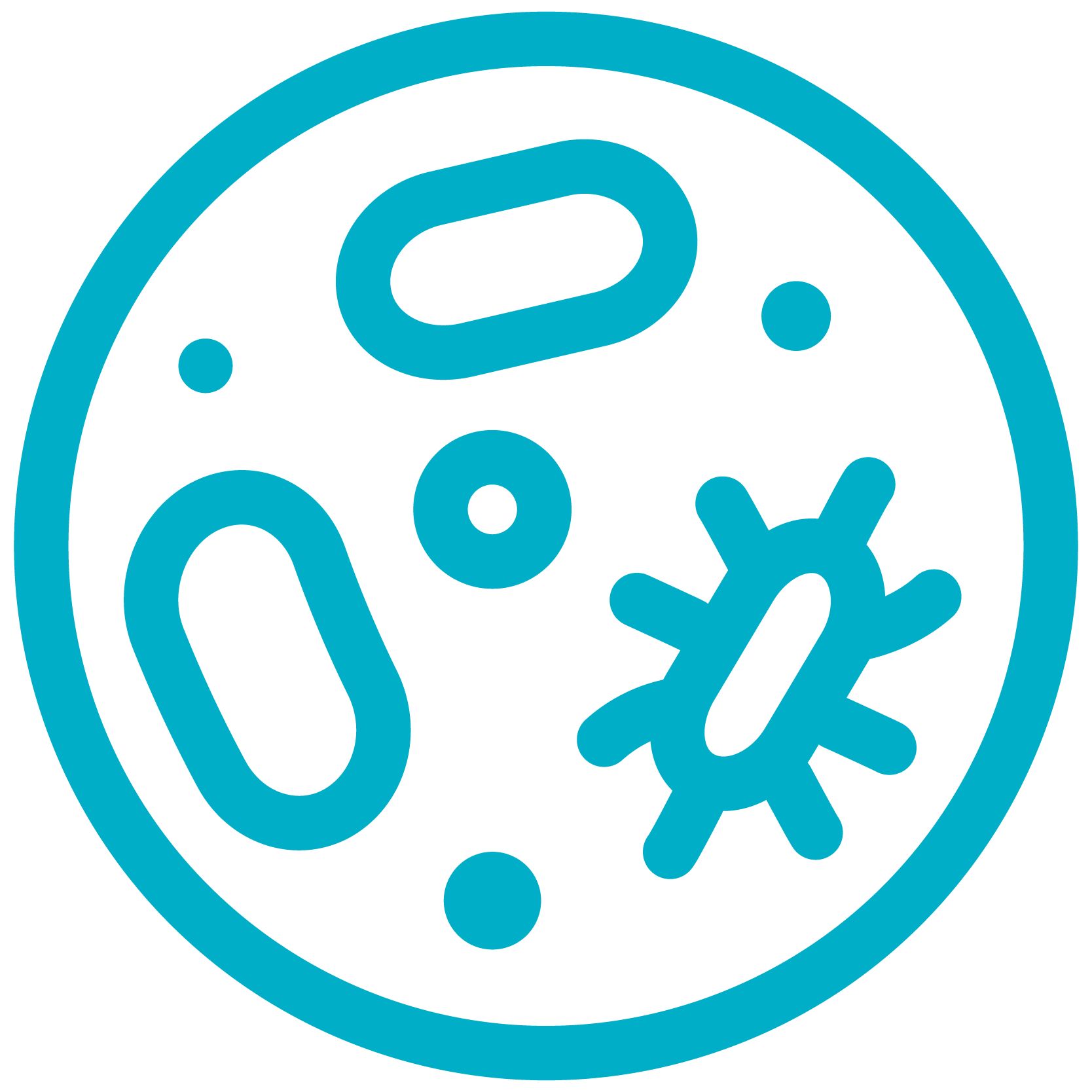 Reset your Oral Microbiome